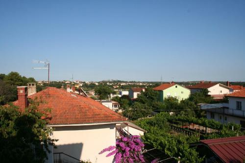Apartment Vuk