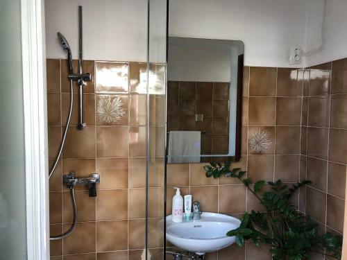 Apartamento Magnolia