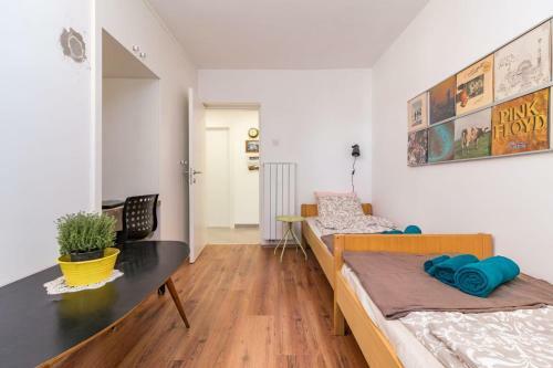 Beautiful Apartment Rovinj With Five Bicycles Included