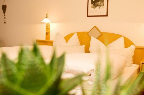Hostal Haus Battisti