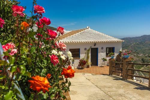 Lagar Andaluz Con Piscina Privada