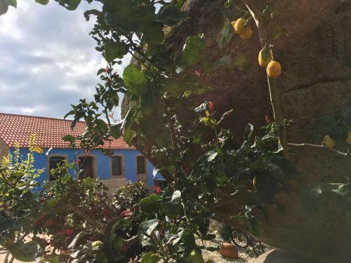 Casa Nicol�s