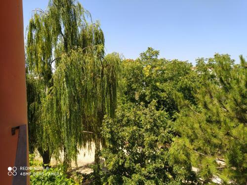 Apartamento Morfili Villa