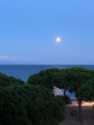 Apartment Direkt Am Strand
