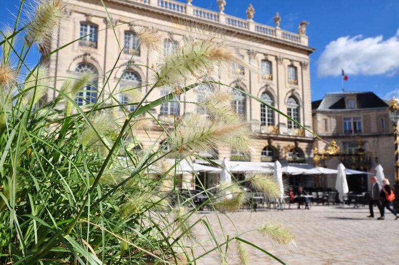 Hotel Grand De La Reine