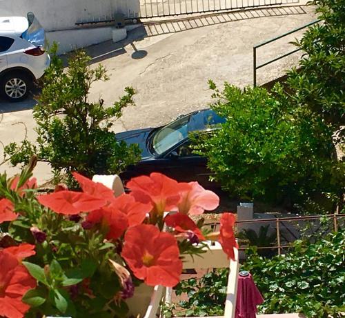 Apartments Marhela Jakov