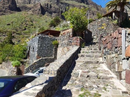 Villa Live Masca Casatarucho