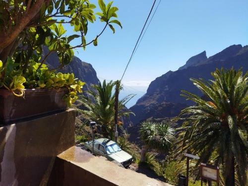 Villa Live Masca Casatarucho