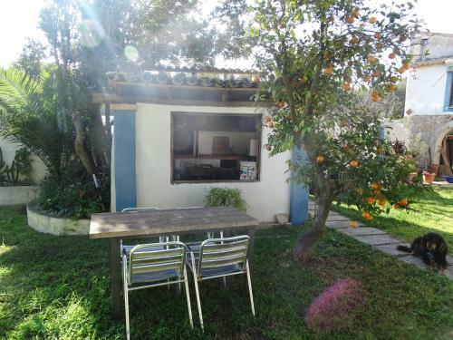 Bed & Breakfast Parador Son Jans Jardin