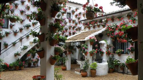 A Estrenar Apartamento Turistico El Juncal