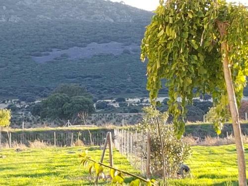 Villa Finca La Rinconada