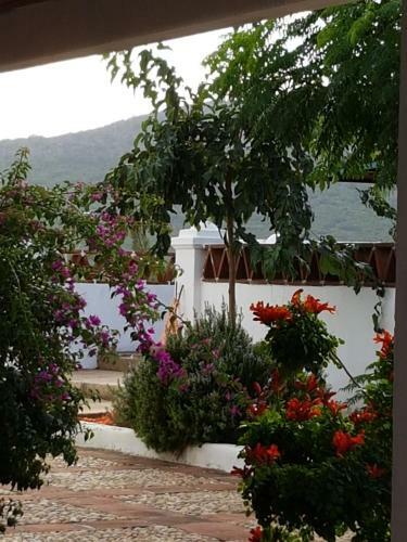 Villa Finca La Rinconada
