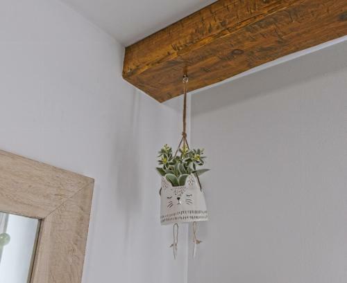 Apartamentos Roseta En Calahorra