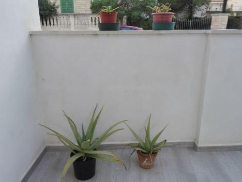 Sa Cala Beach House