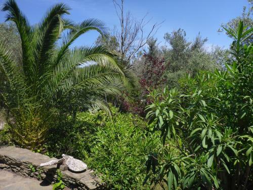 Apartment Hibiscus Cadaqu�s