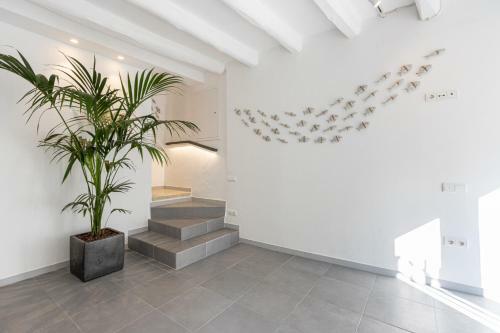 Apartaments Bellaire Cadaqu�s
