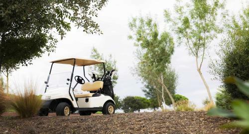 Luxurious Golf Villa La Vinya 5