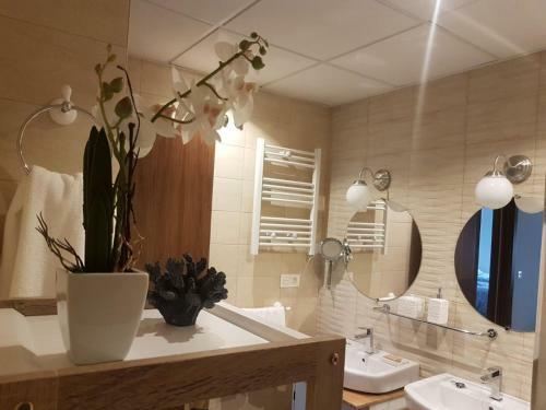 Apartamento Casa Palacio Mu�oz Chaves