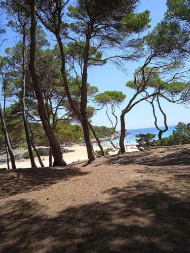 Apartamento Mare Nostrum