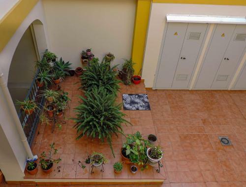 Apartamento Duplex, Terraza, 10 Min Coche Centro Sevilla