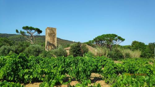 Agroturismo Masia Torre Lloreta S.xiii