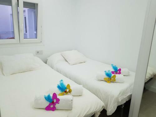 Apartamento Caleta