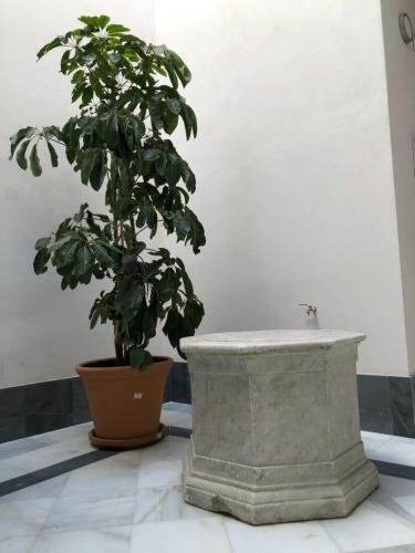 Apartamento Jano Puertatierra