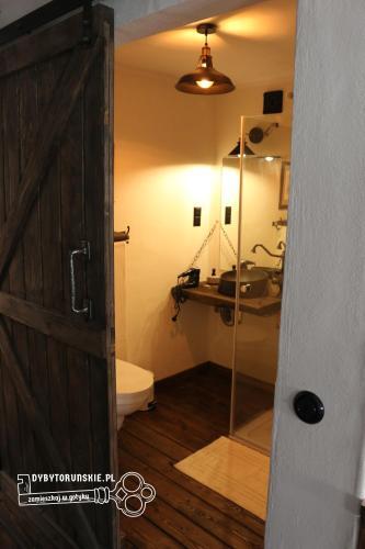 Dyby Toru?skie Apartament 8