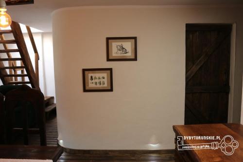 Dyby Toru?skie Apartament 8