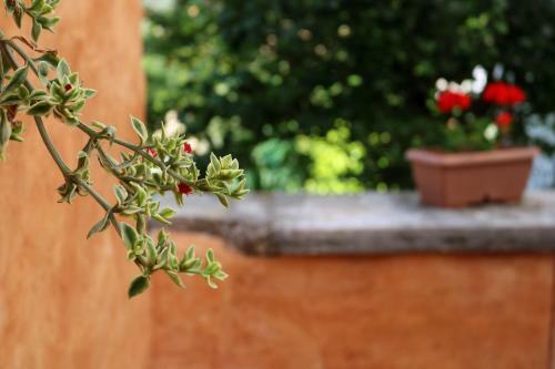 Hostal Holiday Home Bale - Valle
