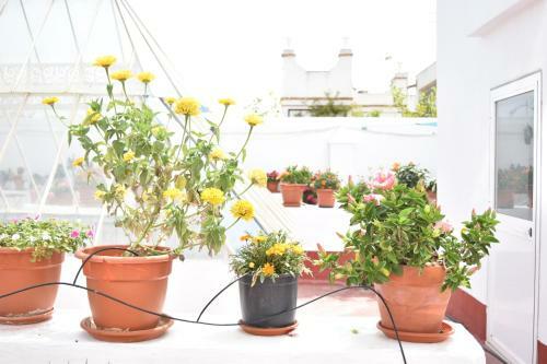 Apartamento La Discusi�n de Veedor 12