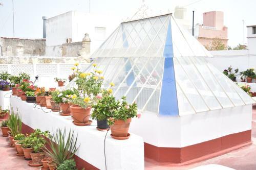 Apartamento La Discusi�n de Veedor 12