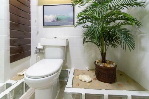 Apartamento Sirenas - Cadiz