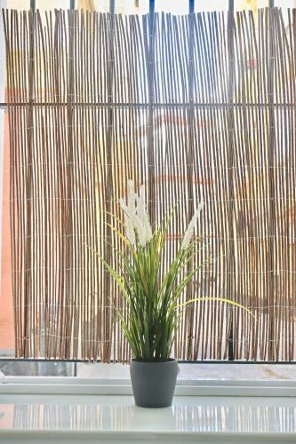 Apartamento Flores Del Mercado