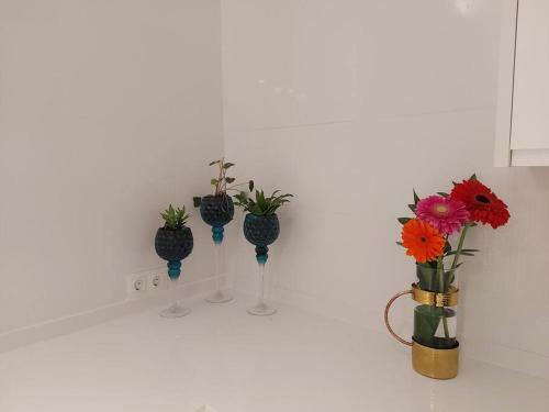 Apartamento Acogedor Piso En El Centro