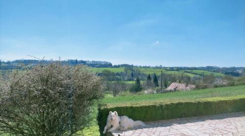 Normandy Holiday Cottage 'le Papillon'
