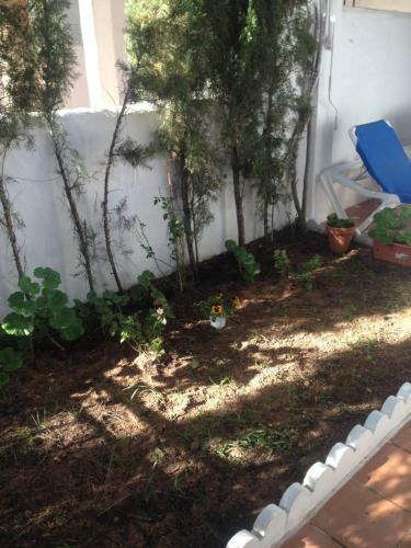 Apartamento Los Veleros Chiclana