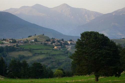 Agroturismo Apartaments Turistics Moli Can Coll