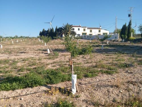 Agroturismo Alojamiento Rural El Or�gano
