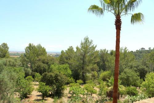 Villa Finca Ca'n Rabis