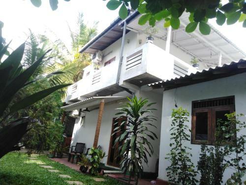 Hotel Jungle Villa