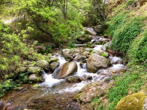 Agroturismo Las Terrazas de Chilla