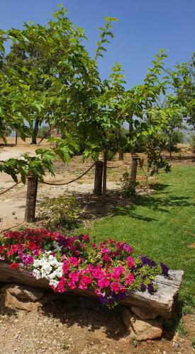 Casa Rural Las Traviesas