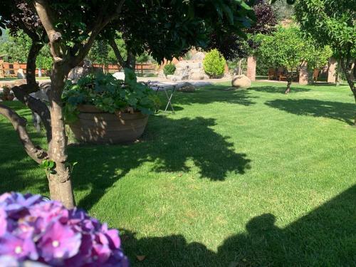 Agroturismo Casa Rural La Joya