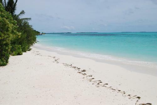 Hostal Dhidhdhooinn Beachview