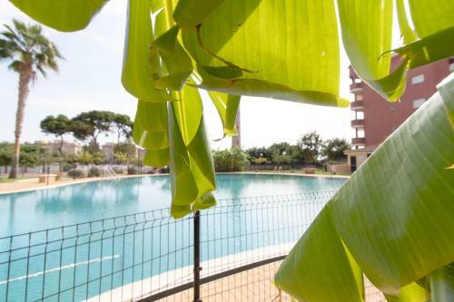Bonito Apartamento Con Terraza Y Piscina