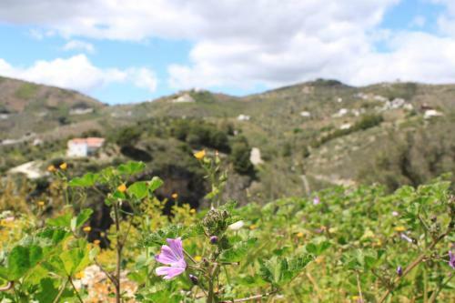 Apartamento Casadubislav