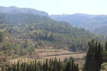 Apartament A Capafonts - "ribatell"