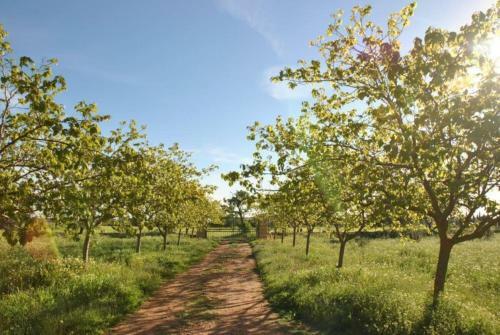 Finca Maravillosa Vista