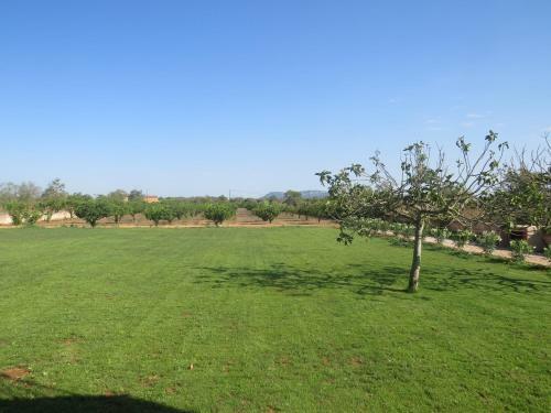 Finca Rica Tierra